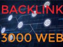 Jasa Backlink 3000 Website